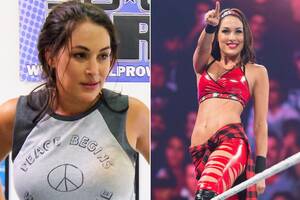 Brie Wwe Porn - WWE star Brie Bella training for ring return and looking incredible just  months after giving birth to her and Daniel Bryan's first child | The Sun