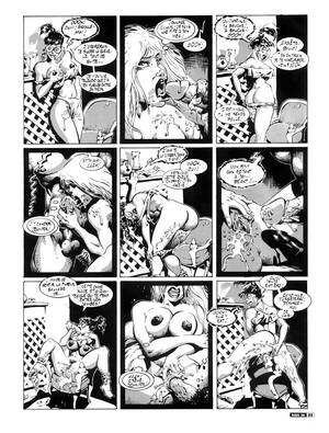 Classic Vintage Porn Comics - Wild sex action in classic porn comics