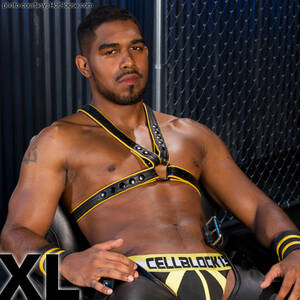 Black Man Porn Star Xl - XL | Hung Handsome Black American Gay Porn Star | smutjunkies Gay Porn Star  Male Model Directory