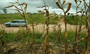 Hitchhiker Forced Sex - Zimbabwean women in court over sex attacks on hitchhikers | Zimbabwe | The  Guardian