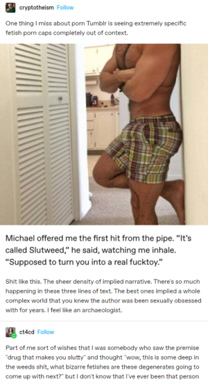 Controversial Porn Tumblr - I miss slutweed tumblr : r/CuratedTumblr