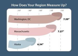 Average Penis Porn - Manhunt-penis-size-chart