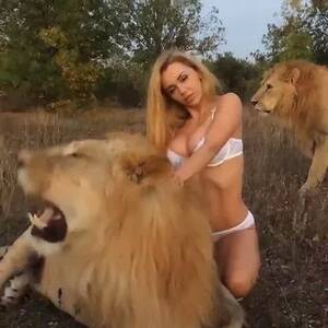 Lion Porn Captions - Porn star Katya Sambuca causes outrage by posing in lingerie next to huge  lions for photo shoot - World News - Mirror Online