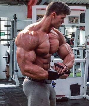 Bodybuilder Porn Muscle Guys - Porn Muscle