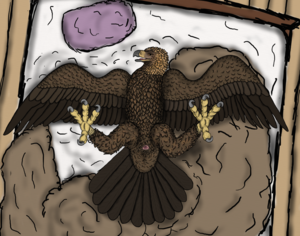 Golden Eagle Porn - Rule34 - If it exists, there is porn of it / uppmap123, vent, sawyer  (ferobird), talon / 1682225