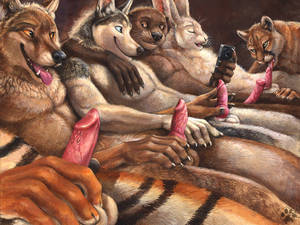 Furry Porn Animal Genitalia - 