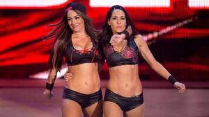 Brie Wwe Porn - Genuinely don't understand why The Bella twins get so much hate? : r/WWE