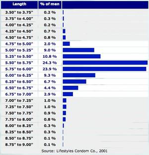 Average Penis Porn - A 7\