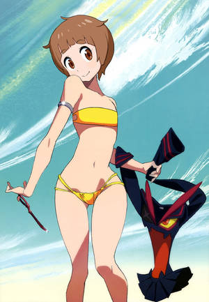 Cute Anime Girl Swimsuit Porn - Here's a selection of the safer-for-work modifications, recasting Ryoko as  characters from series from Bleach to Humanity has Declined to Turning Girls .