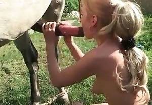 Farm Sex - Farm porn. Animal extreme sex