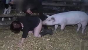 black pig slut - Slut fucked by a pig