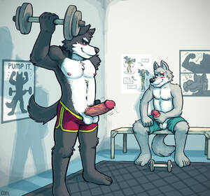 Furry Gay Porn Gym - Rule34 - If it exists, there is porn of it / coal (artist) / 622368