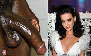 Big Black Cock Celebrity Porn - Celebrity Black Cock