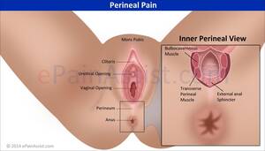 hernia from anal sex - Hernia in anus . Hot porno.