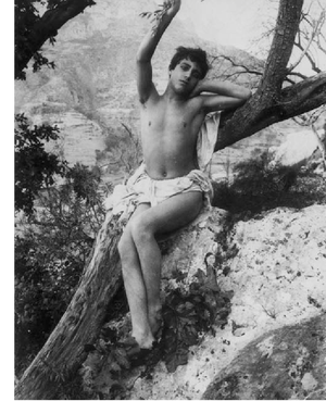 1930s Gay Porn - The Golden Age of Gay Porn\