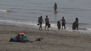 couple nude beach xxx - More police patrols needed at Wreck Beach says Metro Vancouver | Watch News  Videos Online