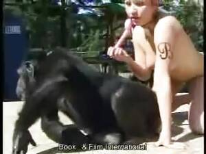 Monkey Porn Bestiality - Search: Woman Breastfeeding monkey YouTube - All Bestiality in one place
