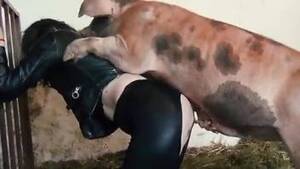 Extreme Bestiality - Zoo Porno - Hot zoophilia and bestiality extreme videos