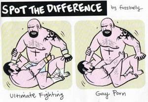 Best Porn Jokes - Still the Best Medicine....Ultimate Fighting vs Gay Porn