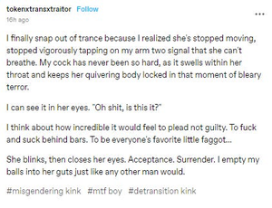 Blackmail Porn Captions Tumblr - Tumblr users are now sharing 'detransitioner kink'