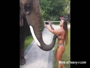 elephantlist big tits - Elephant List Videos - Free Porn Videos