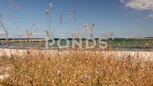 beach spy cam voyeur - Voyeur Point of View of a Beach | Stock Video | Pond5