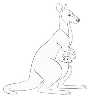 3d Kangaroo Porn - Christopher Hart - Kangaroo Joey Cartoon.