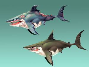 Hungary Shark Porn - I've concepted almost all the playable characters on Hungry Shark World.  These are