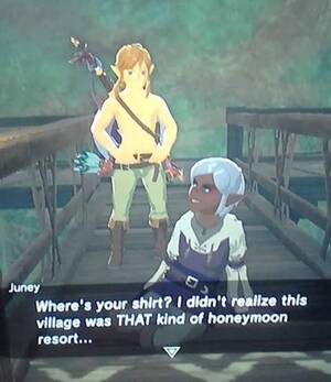 Lonely Arrow Girl Porn - The Zelda team really went wild : r/gaming