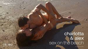 artistic beach sex - Charlotta and Alex Sex on the Beach - 46 photos