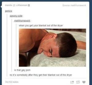 Gay Porn Tumblr - Source methhomework penice when you get your blanket out of the dryer is  that gay porn