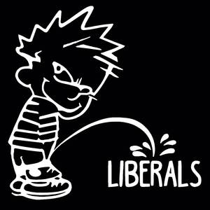 Calvin And Hobbes Pissing Porn - Amazon.com: Calvin Peeing On Liberals Decal, Funny Car Stickers, Calvin  Sticker (H 6 by L 6 Inches, White) : Everything Else