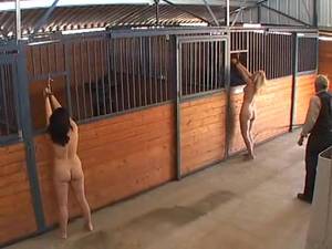 ass whipping videos - 