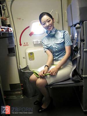 Airline Porn - Korean air hostess opening up gash