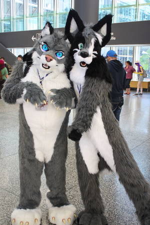 Comicon Cosplay Furry Porn - 