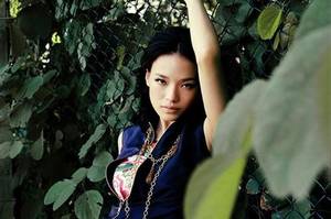 Hong Kong Celebrities Porn - Shu Qi, one of the 'Top 10 Hong Kong porn film actresses'