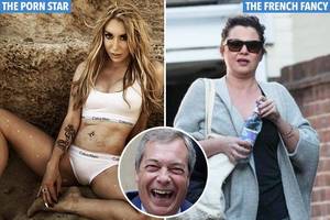 Fancy French Porn - Former Ukip leader Nigel Farage is 'dating the French politician who shared  his house,' claims porn star he smooched on a flight