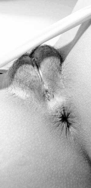 Artful Porn Pussy - Artistic pussy Porn Pic - EPORNER