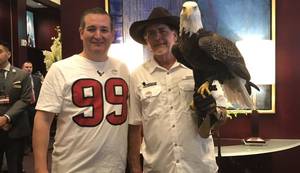 Golden Eagle Porn - Since his failed campaign for the 2016 election, Ted Cruz has spent more  time on Twitter handing on zingers and interacting with the common people  of the ...