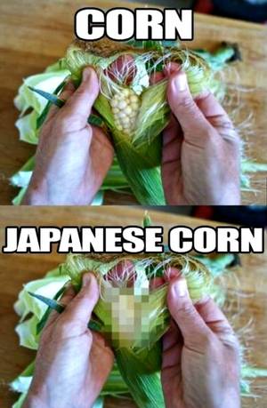 japanese porn censored - Japanese Corn & Japanese Porn