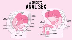 forced anal sex video - Anal Sex: Safety, How tos, Tips, and More | Teen Vogue