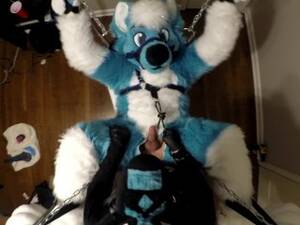 Hardcore Furry Porn - Free Hardcore Furry Porn | PornKai.com