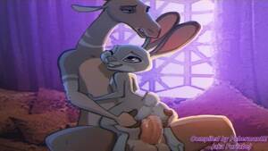 Judy Hopps Furry Porn - Judy Hopps Furry Porn Compilation, uploaded by ediledse