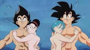 Busty Chichi Dragon Ball Z Porn - DBZ Hentai - Gogeta Fucks Chichi And Bulma (Bulchi) Porn Video