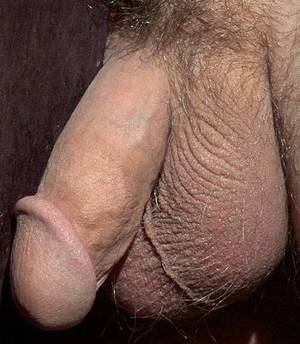 circumcised gang bang - Free closeup of circumcised dick Â· Â«
