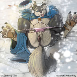 Anthro Husky Porn - 150012 - e621