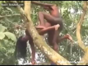 Monkey Sex With Women - Monkey Sex Woman Videos - Free Porn Videos