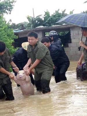 Amy Schumer Ass Porn - Amy Schumer being escorted out of a flooded night club. (2017) :  r/fakehistoryporn