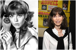 Barbara Feldon Porn - Blast From The Past: Women From Popular TV Shows & Movies