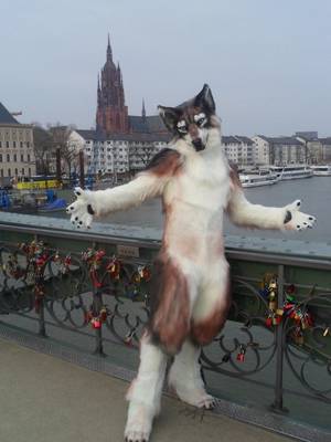 Furry Suit Porn - Finished Wolf Fursuit by zyxwen on deviantART